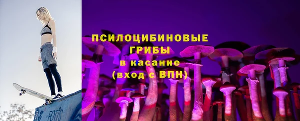 гашик Алзамай