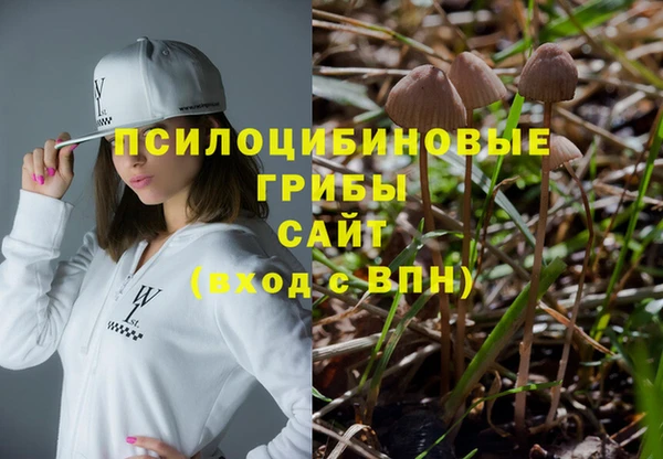 не бодяженный Алексин