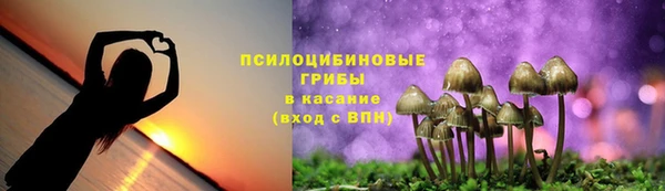 гашик Алзамай