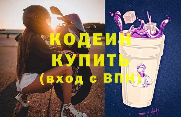 гашик Алзамай