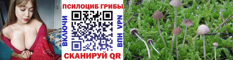 даркнет сайт Волгодонск Псилоцибиновые грибы ЛСД