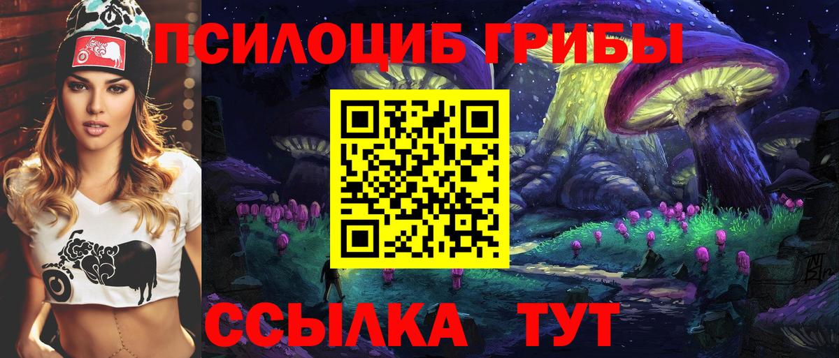 Галлюциногенные грибы Psilocybe  Вход с VPN  купить наркотики цена  Волгодонск 